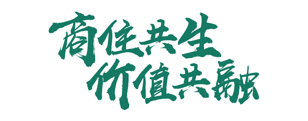 未标题-11.jpg